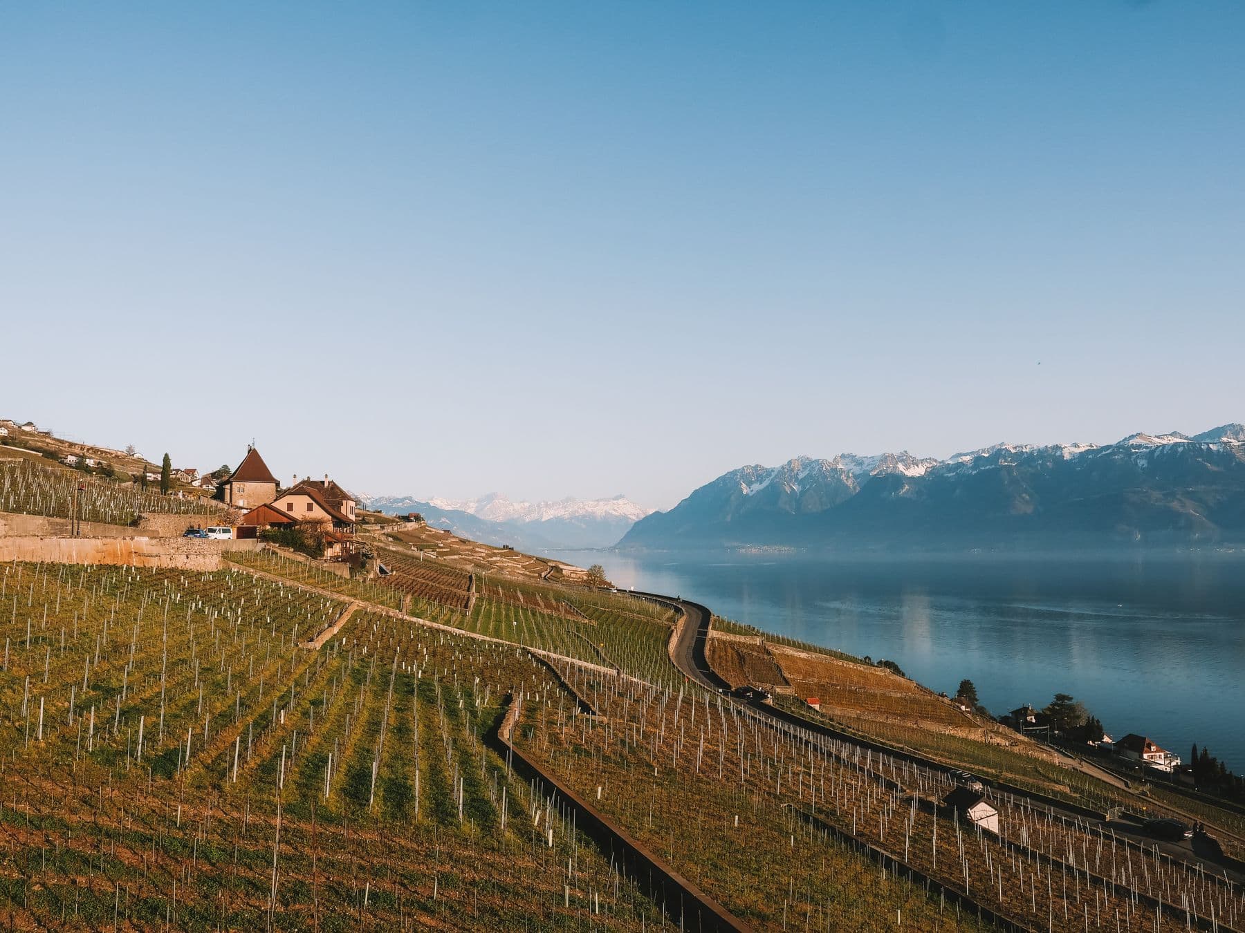 Terraced vineyards of Lavaux descending to Lake Geneva with the Alps beyond