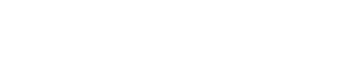 Limousine Transfer